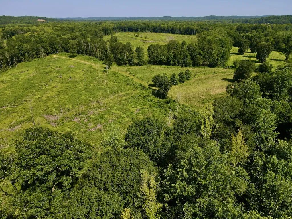 0 Reedy Branch Road Hamilton AL 35570