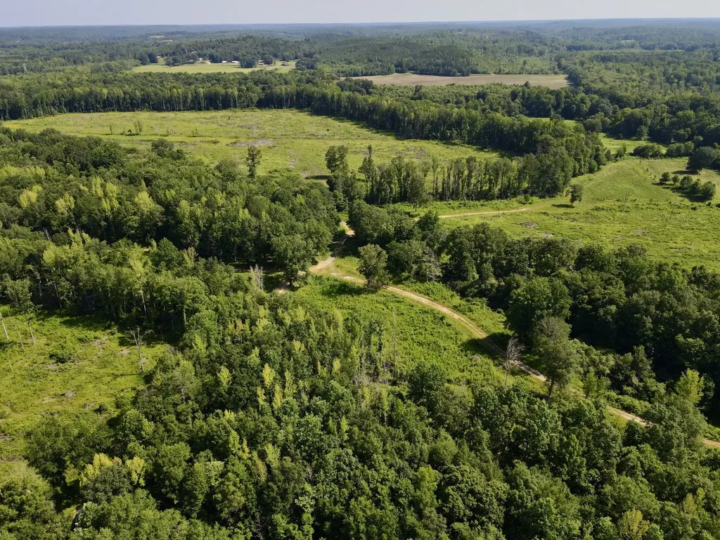 0 Reedy Branch Road Hamilton AL 35570