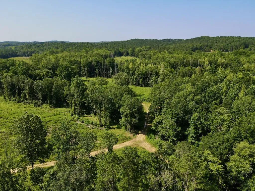 0 Reedy Branch Road Hamilton AL 35570