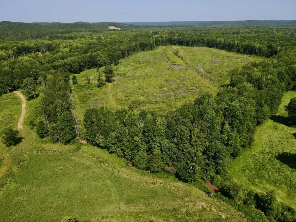 0 Reedy Branch Road Hamilton AL 35570