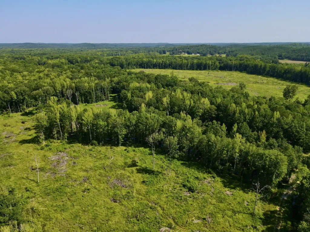 0 Reedy Branch Road Hamilton AL 35570