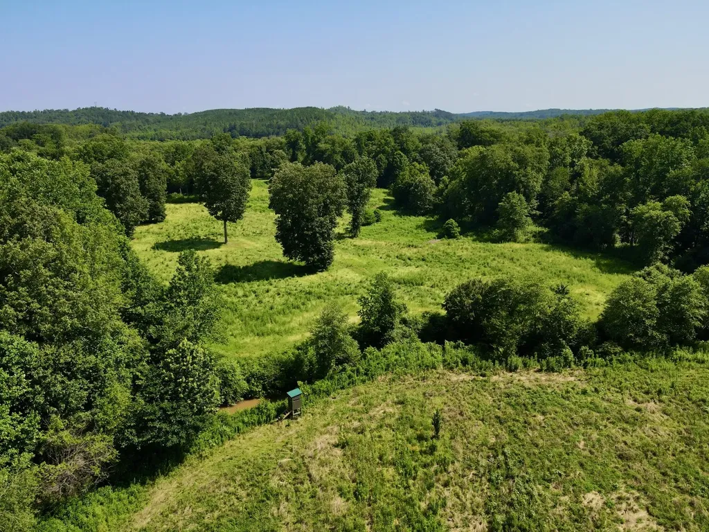 0 Reedy Branch Road Hamilton AL 35570