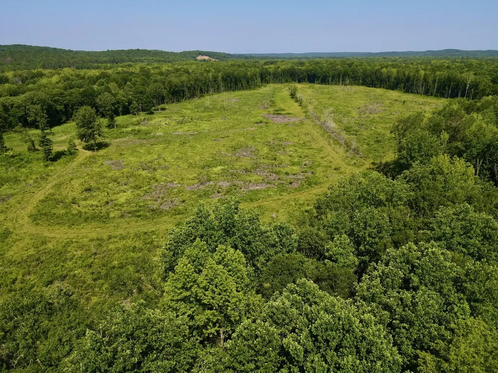 0 Reedy Branch Road Hamilton AL 35570