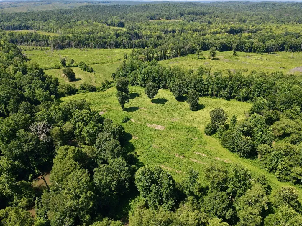 0 Reedy Branch Road Hamilton AL 35570