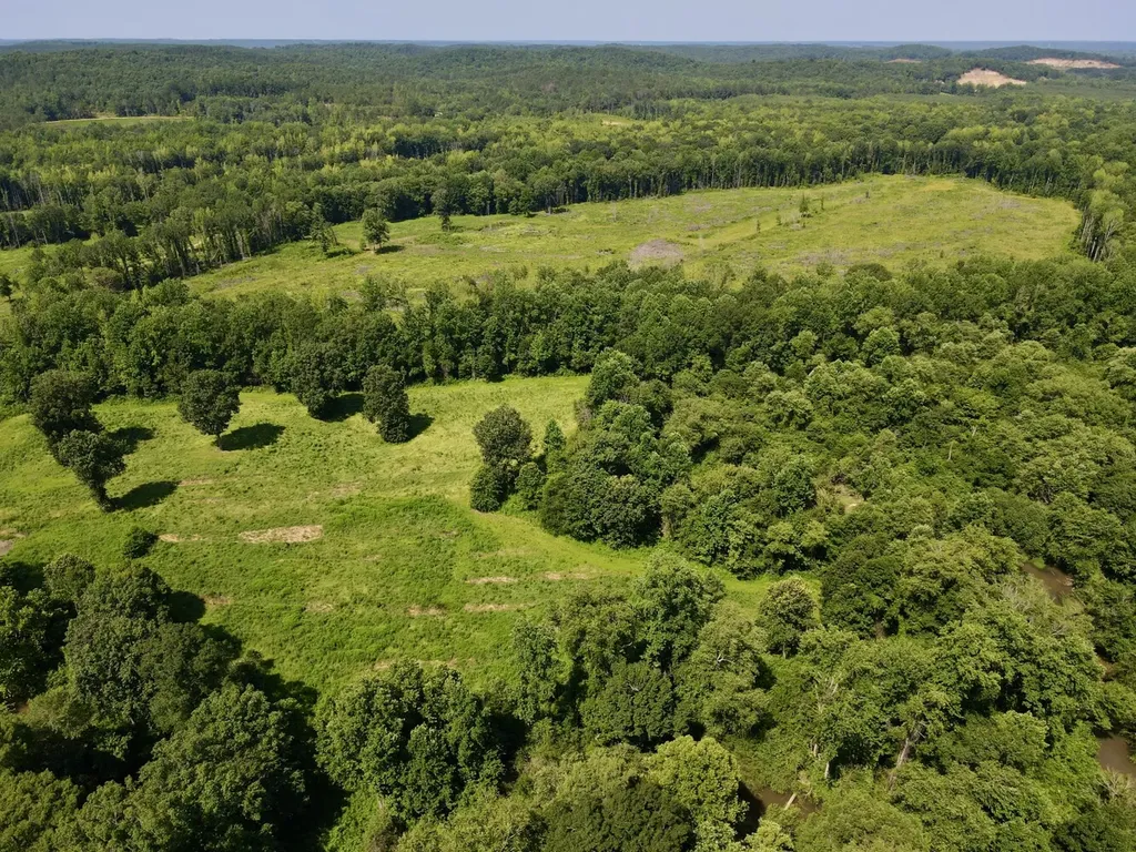 0 Reedy Branch Road Hamilton AL 35570