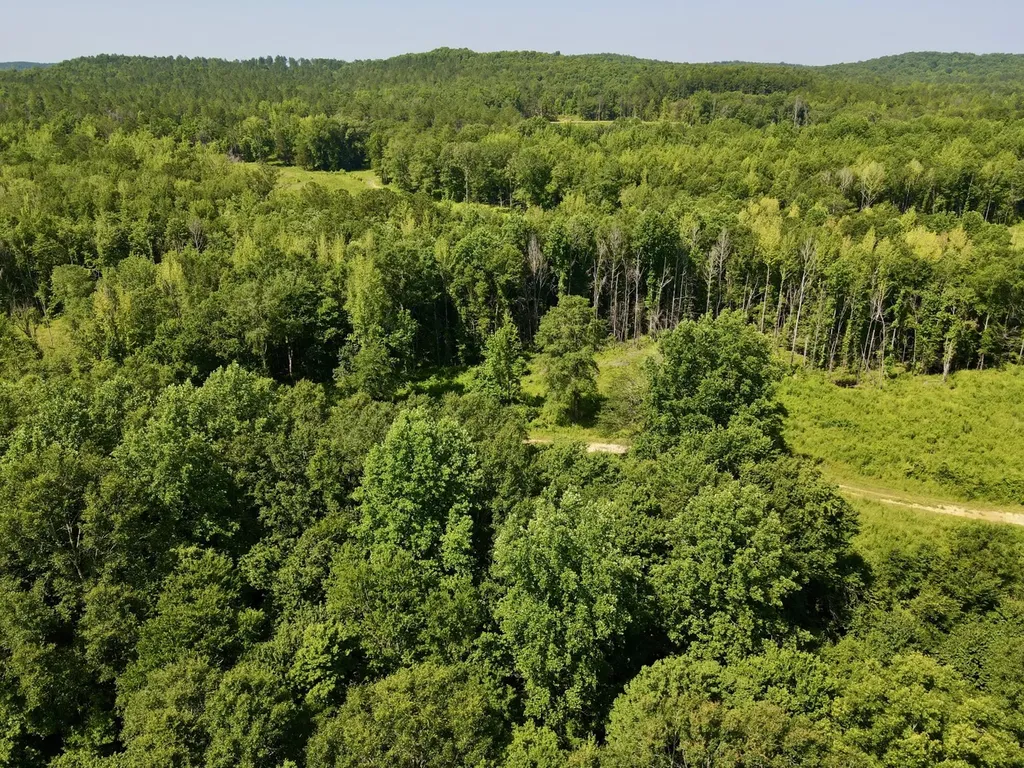 0 Reedy Branch Road Hamilton AL 35570