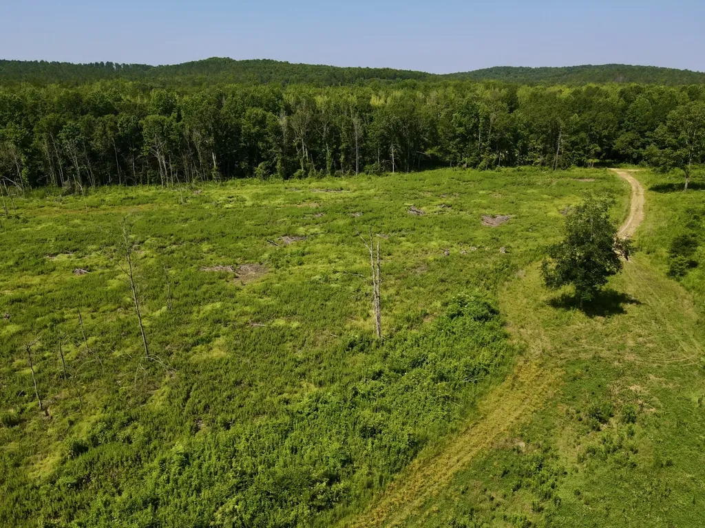 0 Reedy Branch Road Hamilton AL 35570