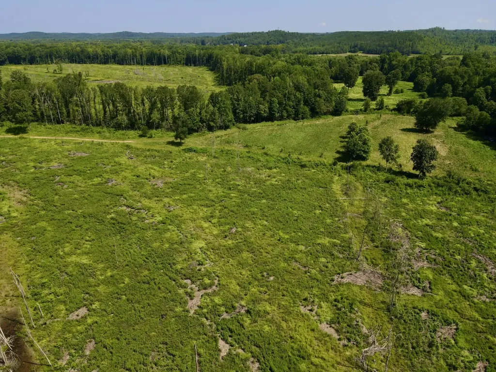 0 Reedy Branch Road Hamilton AL 35570