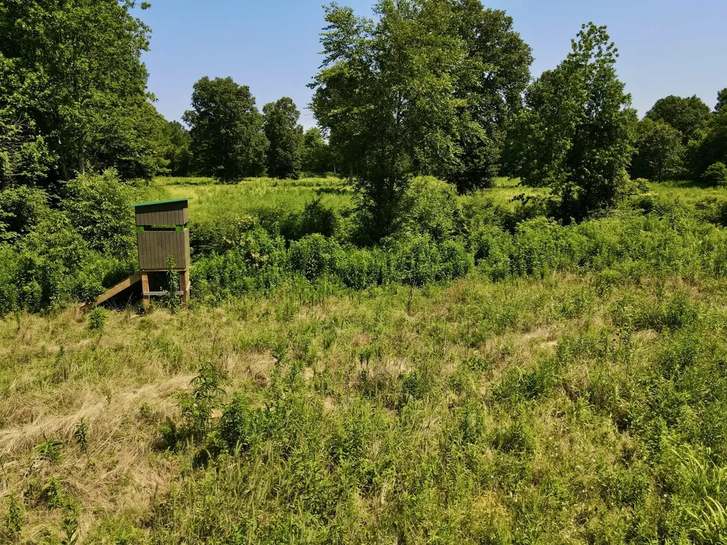 0 Reedy Branch Road Hamilton AL 35570