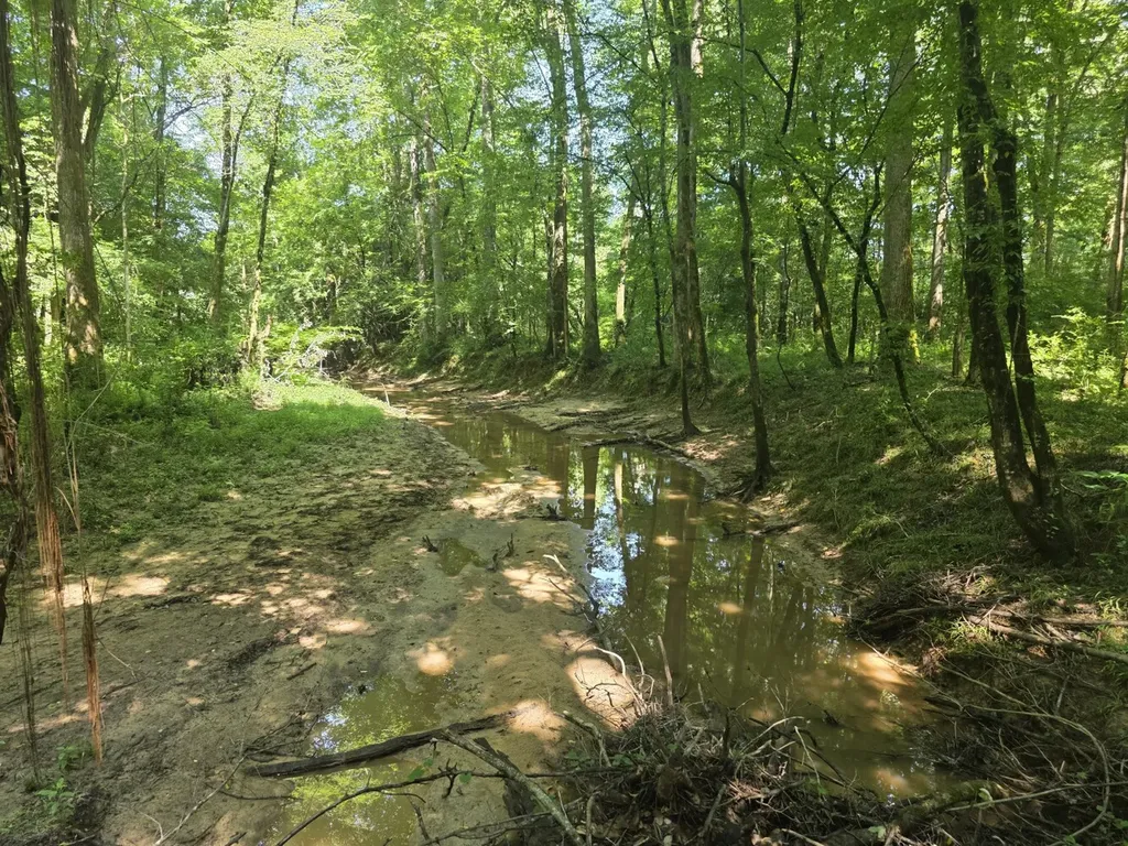 0 Reedy Branch Road Hamilton AL 35570