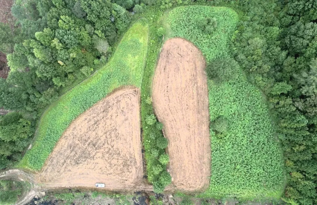 0 Reedy Branch Road Hamilton AL 35570