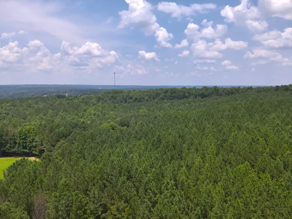 0 County Road 101 Bremen AL 35033