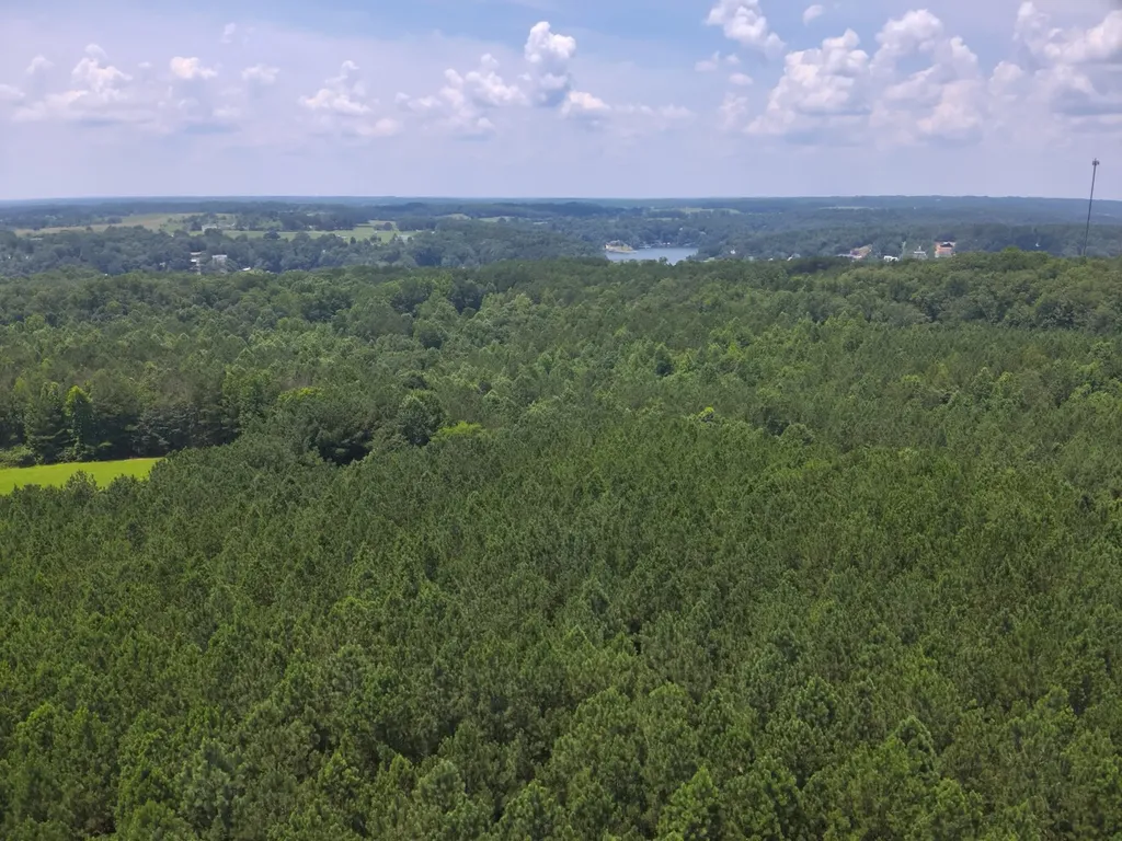 0 County Road 101 Bremen AL 35033