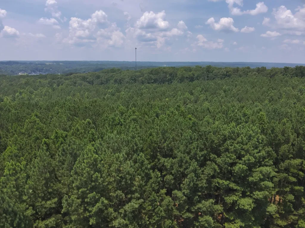 0 County Road 101 Bremen AL 35033