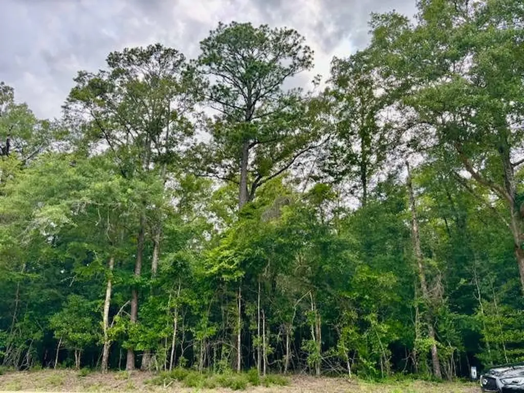 0 Jordon Grove Road Dozier AL 36028