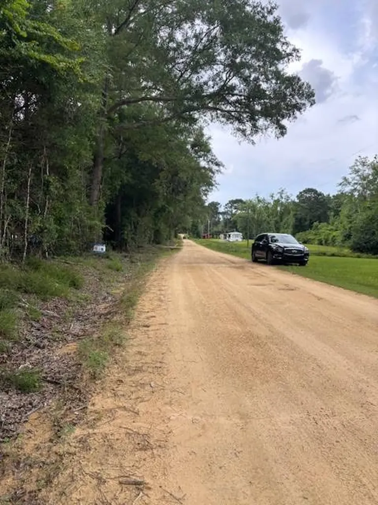 0 Jordon Grove Road Dozier AL 36028