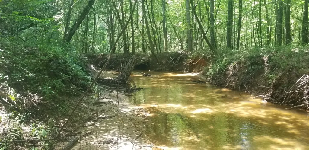 0 County Road 6, Tract A Selma AL 36701