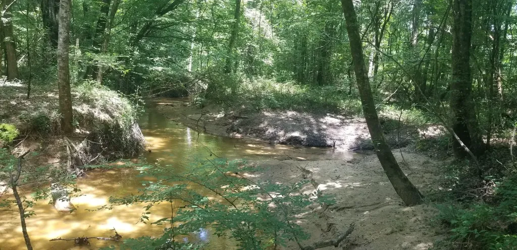 0 County Road 6, Tract A Selma AL 36701