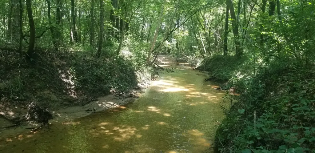 0 County Road 6, Tract A Selma AL 36701