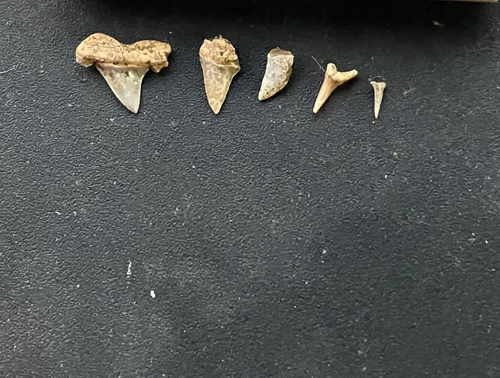 0 County Road 6, Tract A Selma AL 36701