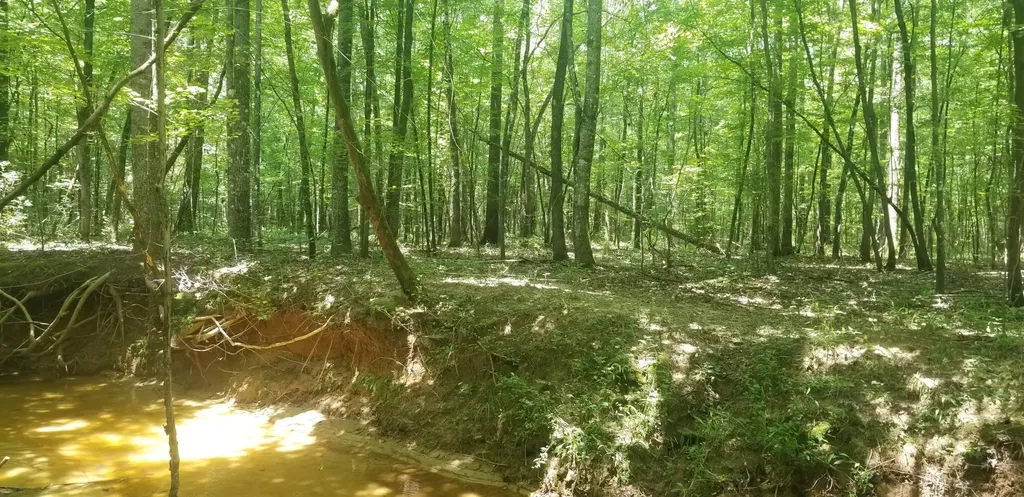 0 County Road 6, Tract A Selma AL 36701