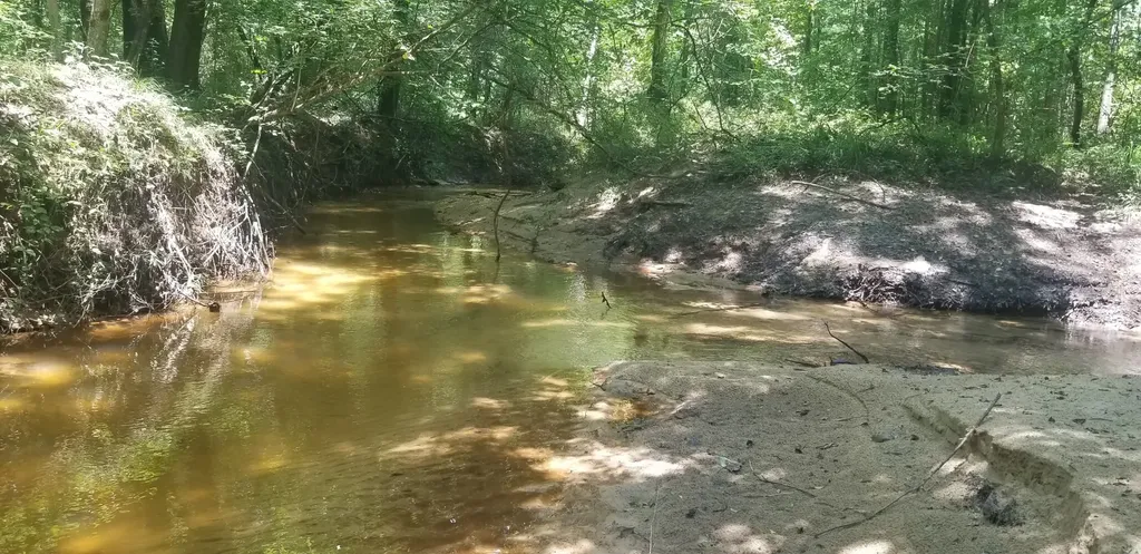 0 County Road 6, Tract A Selma AL 36701