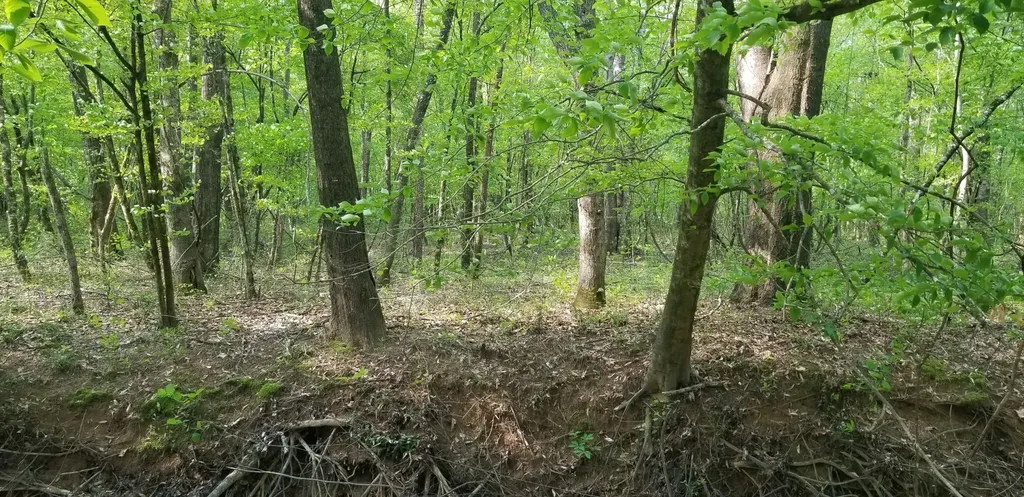 0 County Road 6, Tract A Selma AL 36701