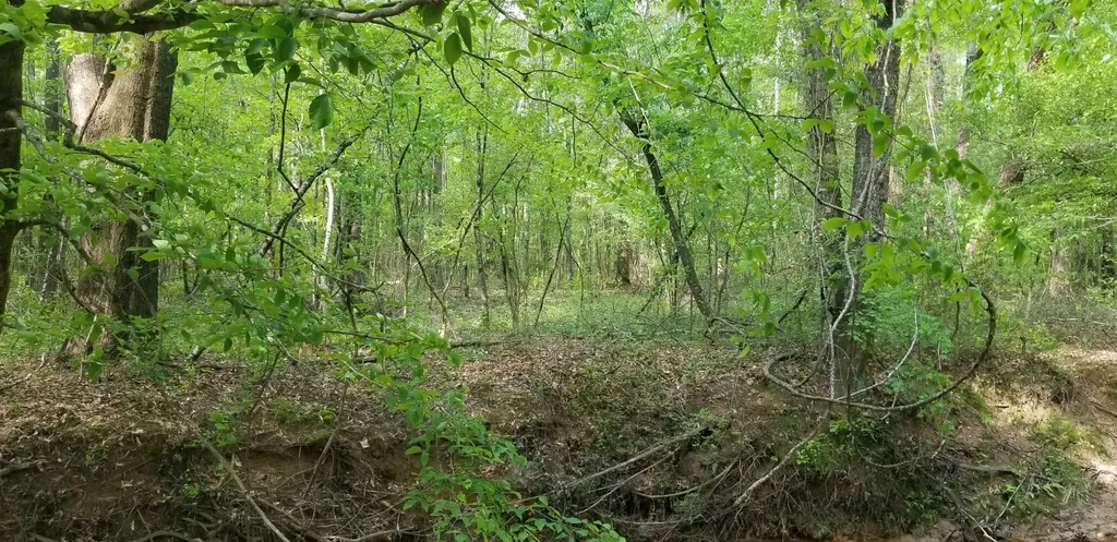 0 County Road 6, Tract A Selma AL 36701