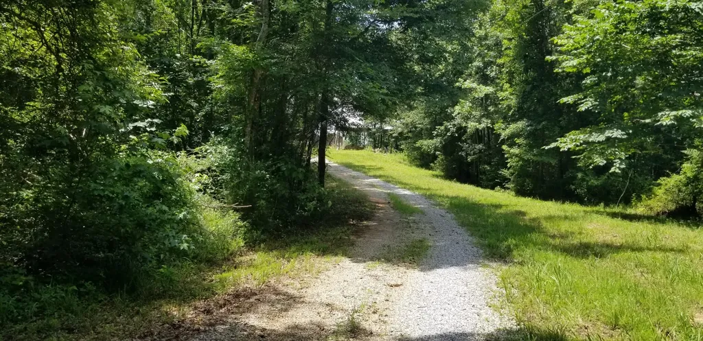 0 County Road 6, Tract A Selma AL 36701