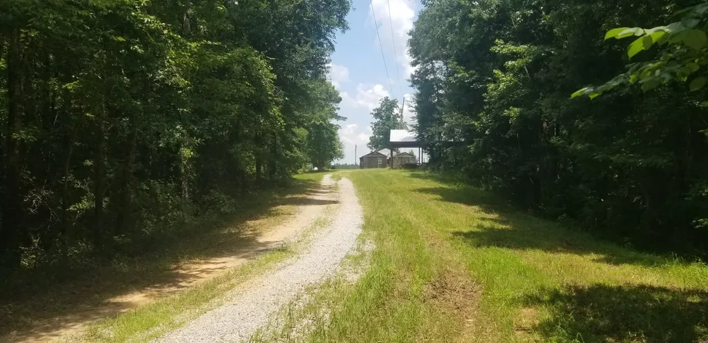 0 County Road 6, Tract A Selma AL 36701