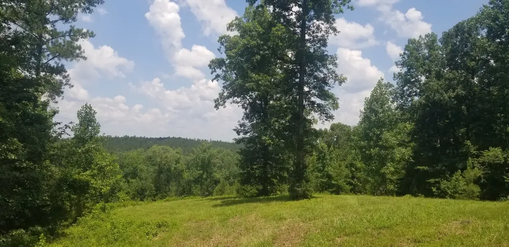 0 County Road 6, Tract A Selma AL 36701