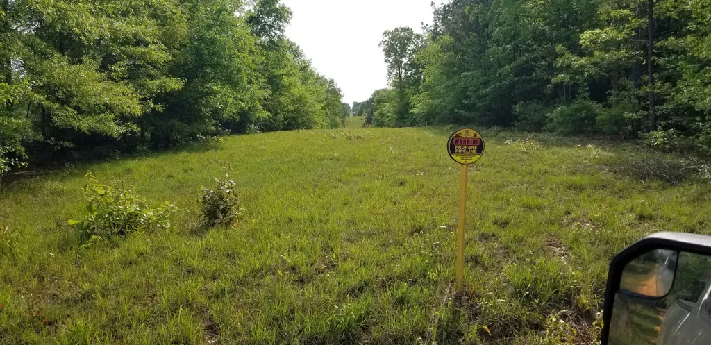 0 County Road 6, Tract A Selma AL 36701