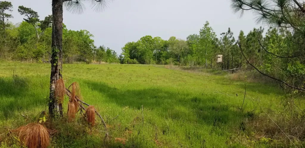 0 County Road 6, Tract A Selma AL 36701