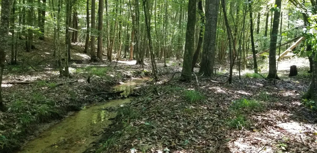 0 County Road 6, Tract A Selma AL 36701