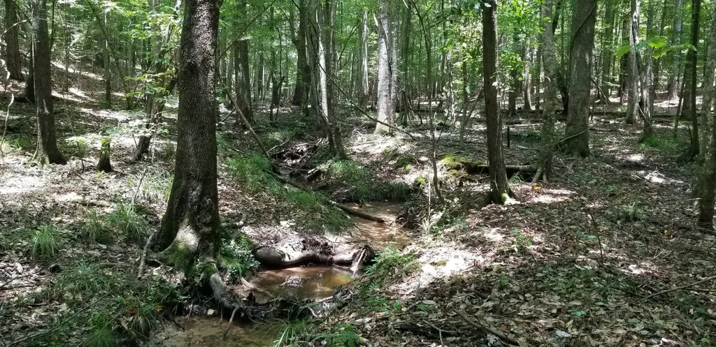 0 County Road 6, Tract A Selma AL 36701