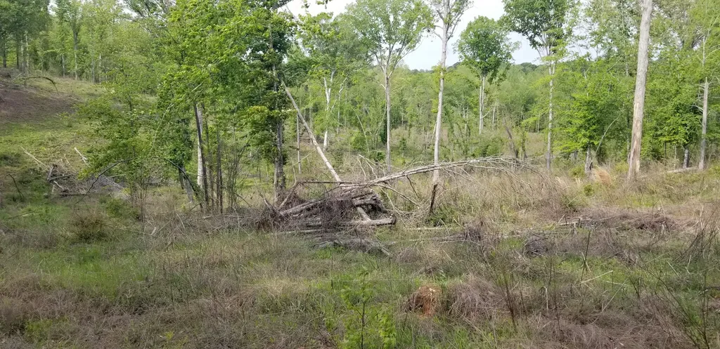 0 County Road 6, Tract A Selma AL 36701