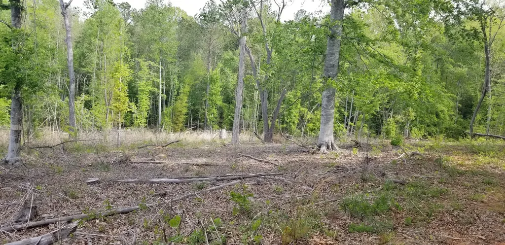 0 County Road 6, Tract A Selma AL 36701