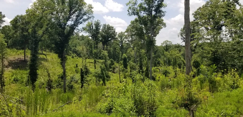 0 County Road 6, Tract A Selma AL 36701