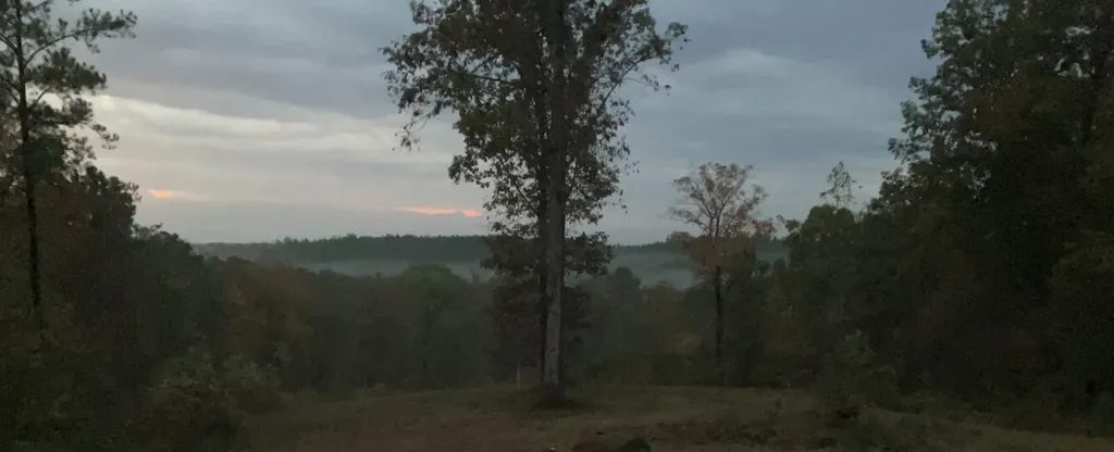 0 County Road 6, Tract A Selma AL 36701