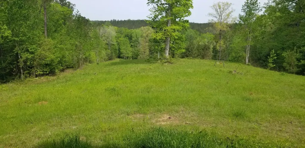 0 County Road 6, Tract A Selma AL 36701