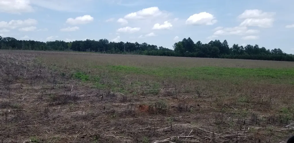 0 County Road 6, Tract A Selma AL 36701