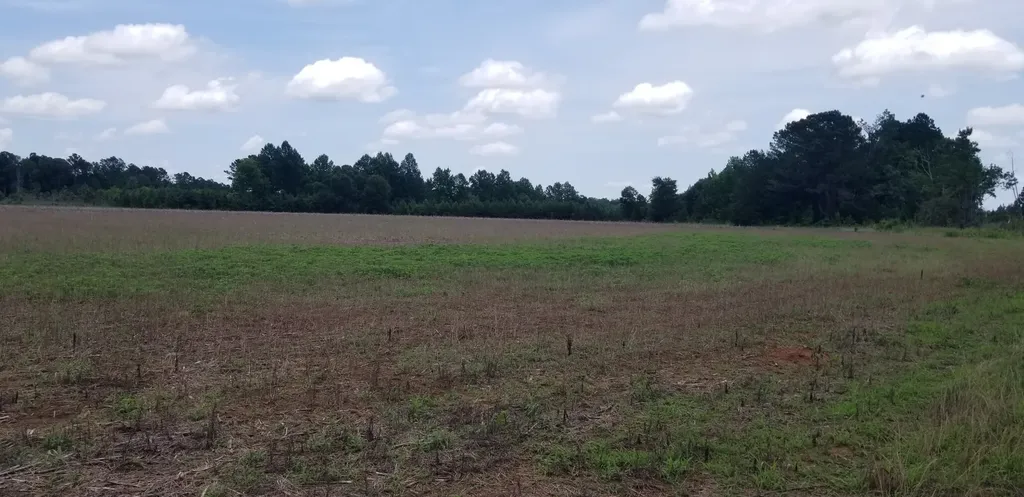 0 County Road 6, Tract A Selma AL 36701