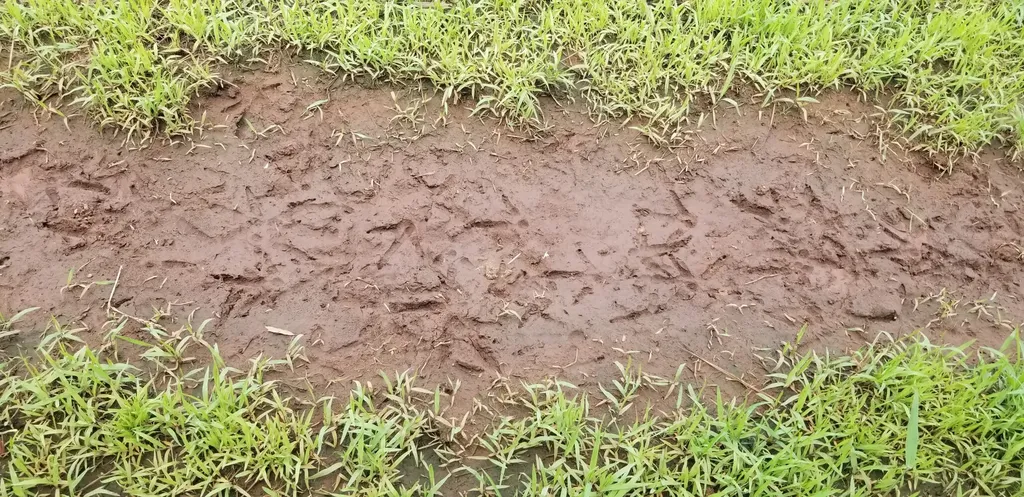 0 County Road 6, Tract A Selma AL 36701