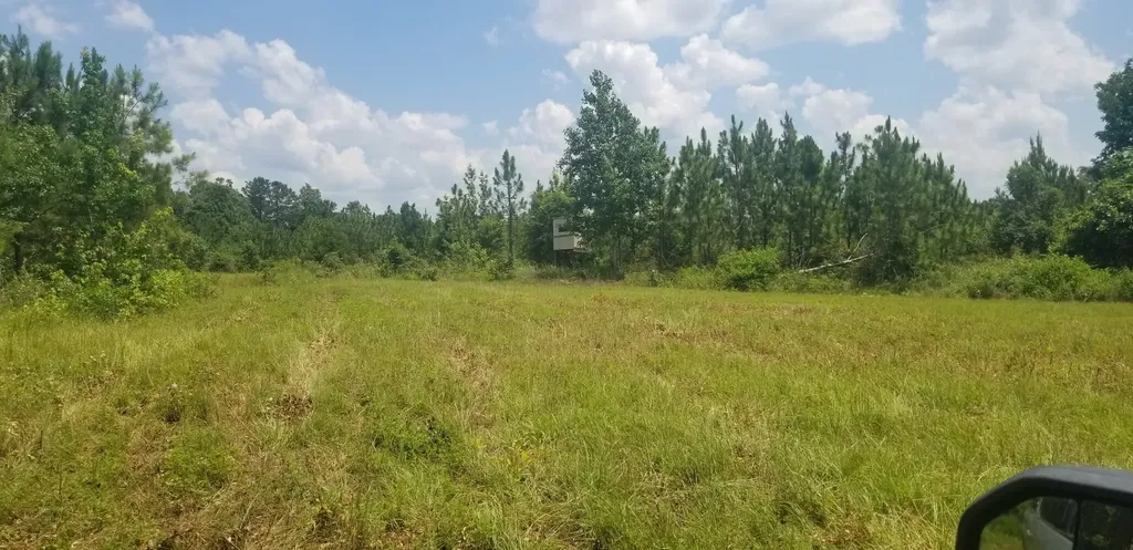 0 County Road 6, Tract A Selma AL 36701