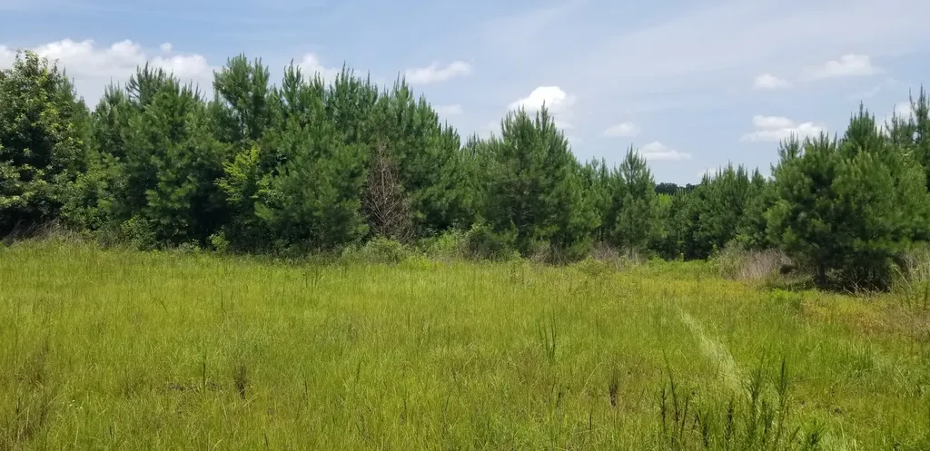 0 County Road 6, Tract A Selma AL 36701