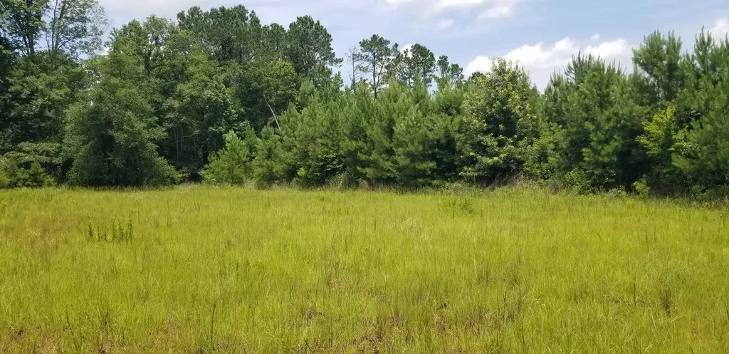 0 County Road 6, Tract A Selma AL 36701