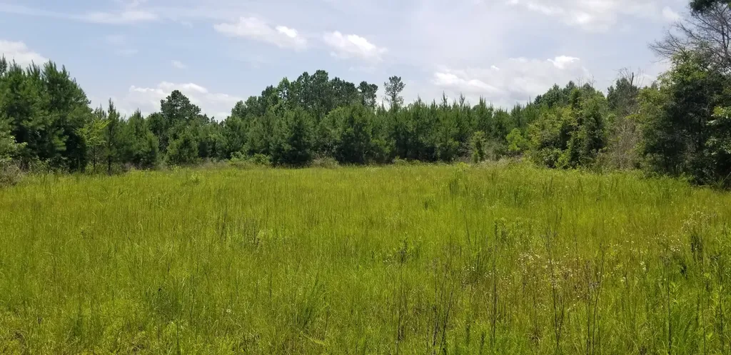 0 County Road 6, Tract A Selma AL 36701