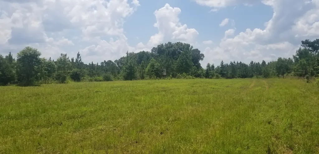0 County Road 6, Tract A Selma AL 36701