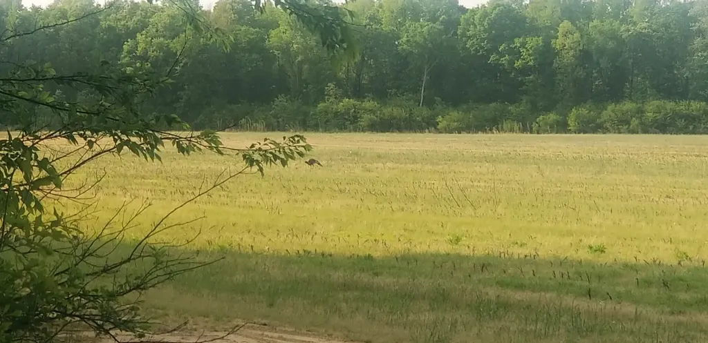 0 County Road 6, Tract A Selma AL 36701