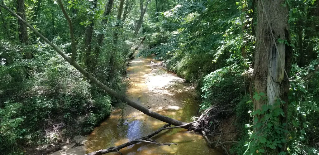 0 County Road 6, Tract A Selma AL 36701